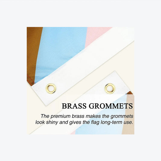 Transgender Flag - Large