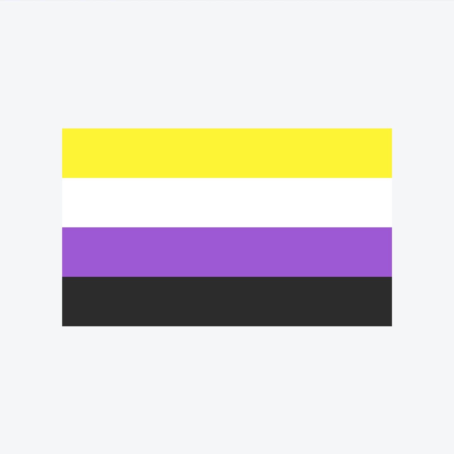 Non-Binary Flag - Large