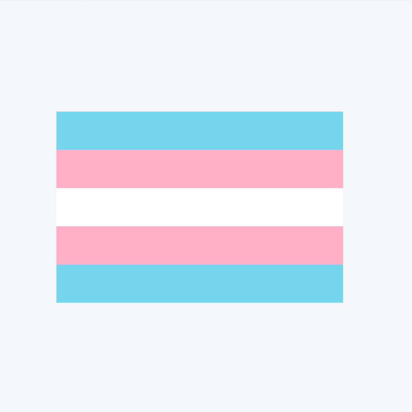 Transgender Flag - Large