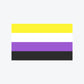 Non-Binary Flag - Large
