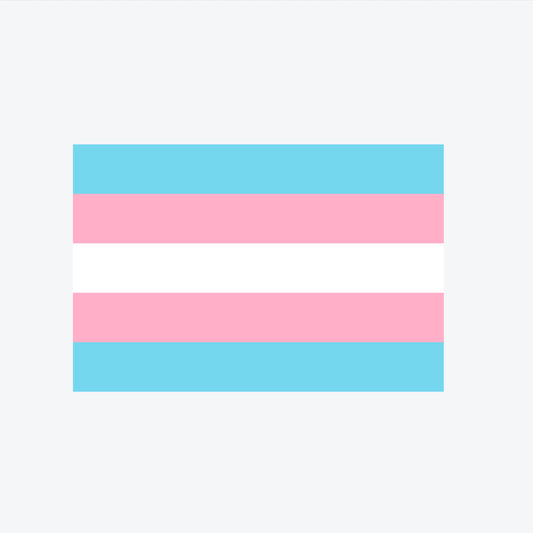 Transgender Flag - Large